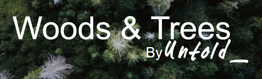 Woods & Trees by Untold